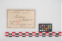 Etikett zu Bronzehalsreif (NHMW-PRAE-025736)
